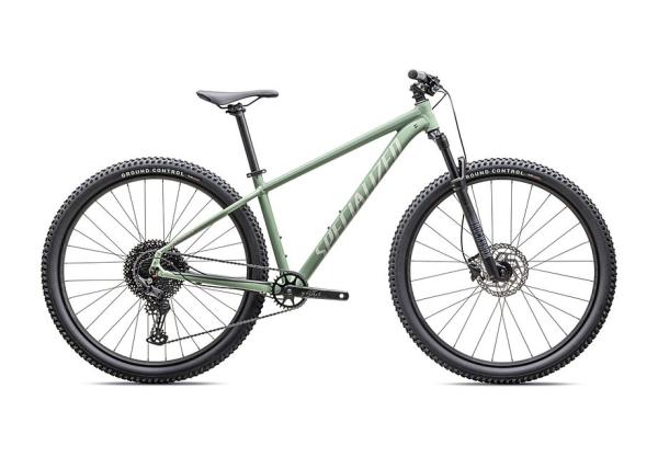 Specialized Rockhopper Comp Gloss Pistachio / White Mountains M - 29