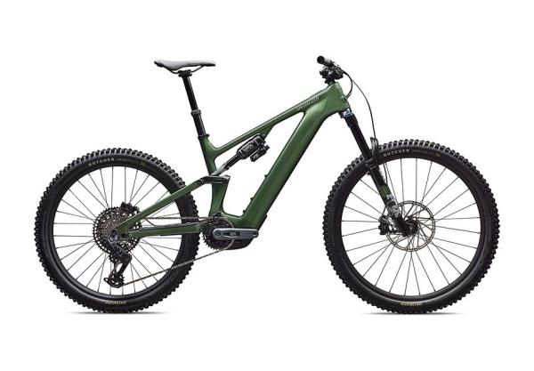 Specialized Turbo Levo 4 Expert GLOSS CYPRESS METALLIC / SILVER DUST S2