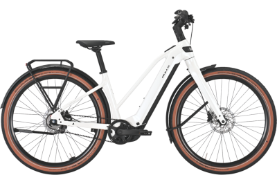 BULLS STURMVOGEL EVO metallic off-white 29 Zoll S Produktbild 1