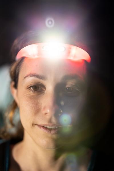 Knog Stirnlampe Bandicoot Run 250 grape  Produktbild 5